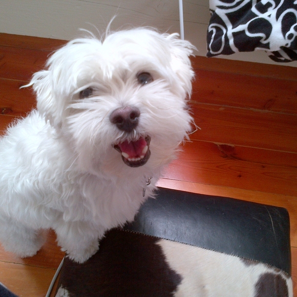 We Love Offers❤️😁 - Picture 7 of 10